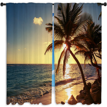 Palm Tree On The Tropical Beach Window Curtain