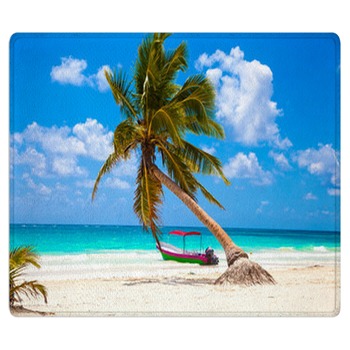 Palm Tree Rugs