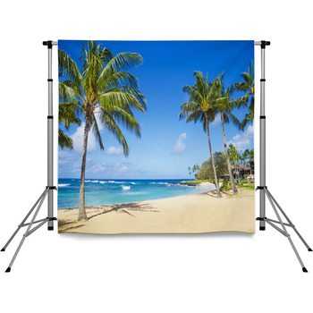 Palm Trees On The Sandy Beach In Pole Pocket Backdrop