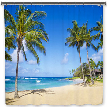 Palm Trees On The Sandy Beach In Hawaii Shower Curtain