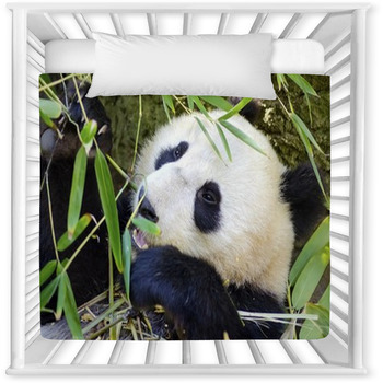 panda baby comforter