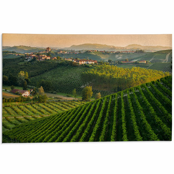 Panorama Collinare Con Vigneti Area Rug