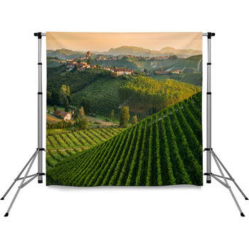 Panorama Collinare Con Vigneti Pole Pocket Backdrop