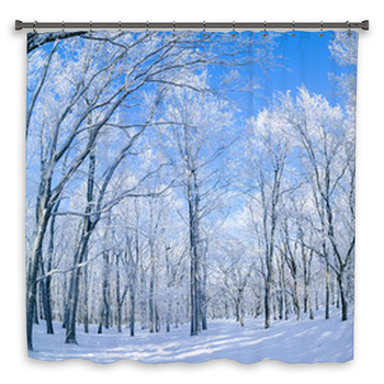 Panorama Of The Winter Forest Shower Curtain