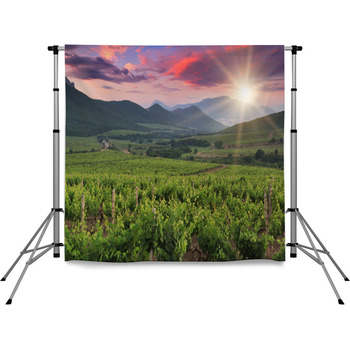 Panorama Of Vineyards Pole Pocket Backdrop