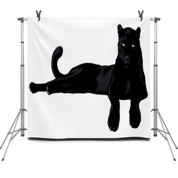 Pantera Nera Digital Paint Fleece Backdrop