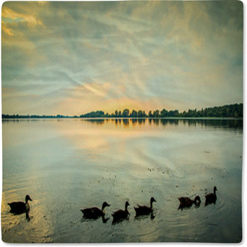 Papere Sul Lago Al Tramonto Baby Blanket