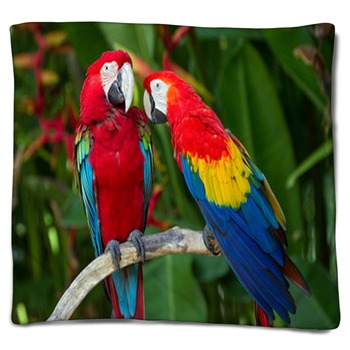 Parrot Blankets