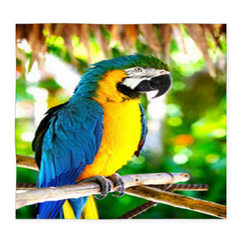 Parrot Custom Size Floor Mat