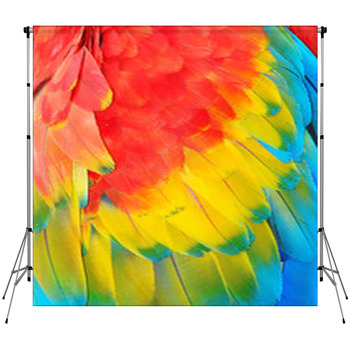 Parrot Feathers, Exotic Texture Custom Size Backdrop