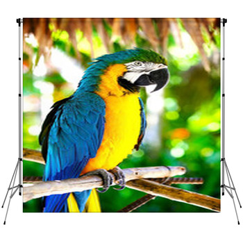 Parrot Fleece Backdrop