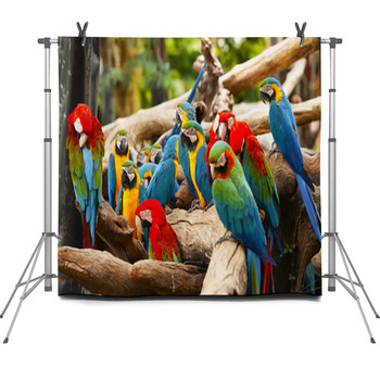 Parrot Fleece Backdrop
