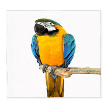 Parrot On A Branch Custom Size Floor Mat