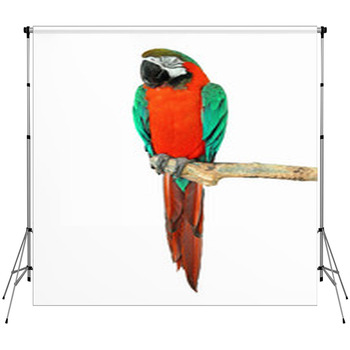 Parrot On A Branch Fleece Backdrop
