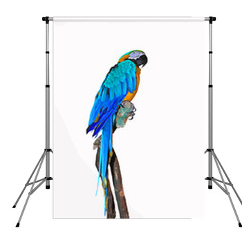 Parrot On A Branch Pole Pocket Backdrop