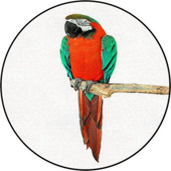 Parrot On A Branch Round Rug