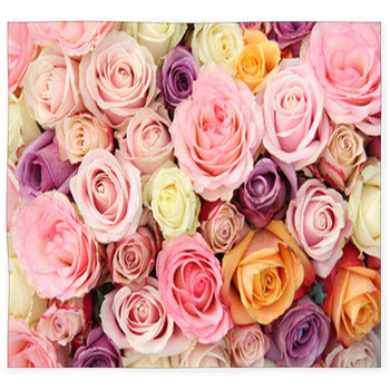 Pastel Wedding Roses Custom Size Floor Mat
