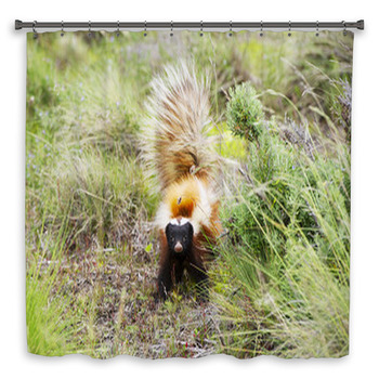 Patagonian Hog-nosed Skunk Shower Curtain