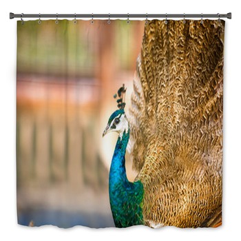 Peacock Bath Decor