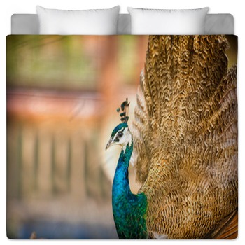 Peacock Bedding