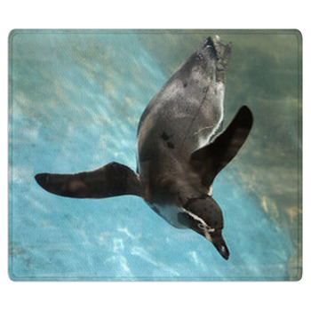 Penguin Swimming Area Rug