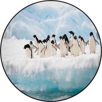 Penguins On The Snow Round Rug