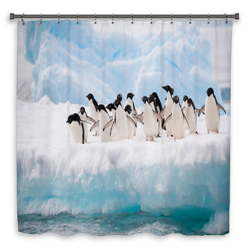 Penguins On The Snow Shower Curtain