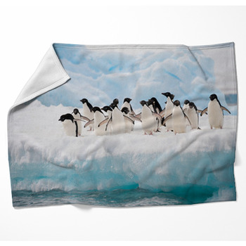 Penguins On The Snow Woven Throw Blanket