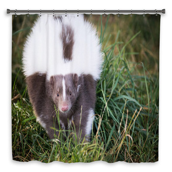 Picture Of A Skunk In The Grass Shower Curtain