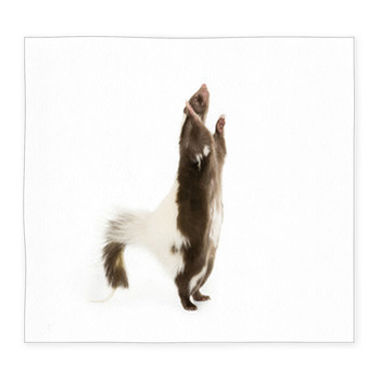 Picture Of A Skunk Standing On Its  Custom Size Floor Mat