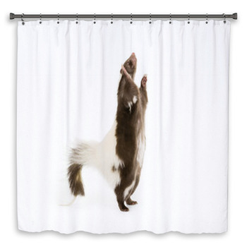 Picture Of A Skunk Standing Custom Size Shower Curtain