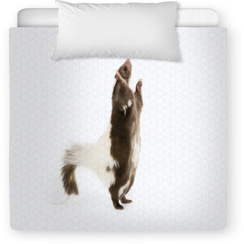 Picture Of A Skunk Standing On Its Toddler Comforter