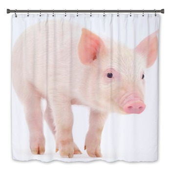 Pig Bath Decor