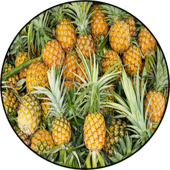 Pineapple Tropical Fruit Round Rug
