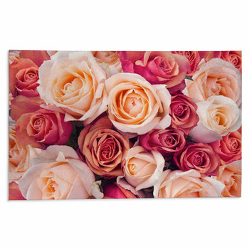 Pink And Orange Rugs