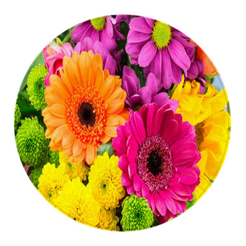 Pink And Orange Transvaal Daisy S In Bunch Of  Round Rug