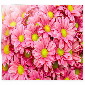 Pink And Yellow Daisies Flower Custom Size Floor Mat