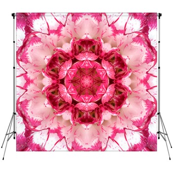 Pink Floral Backdrops