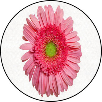 Pink Gerber Daisy Round Rug
