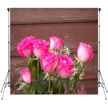 Pink Roses Custom Size Backdrop