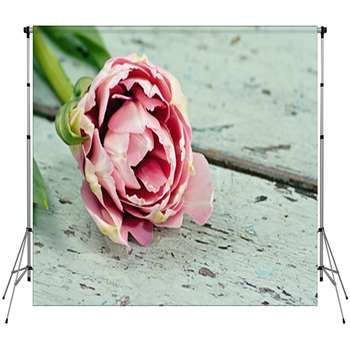 Pink Tulips On A Wooden Surface Custom Size Backdrop