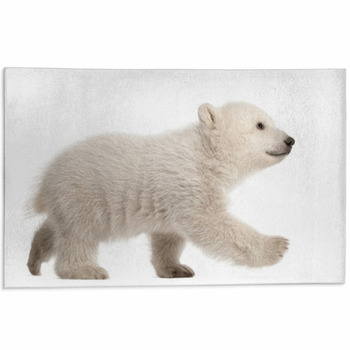 Details about   3D White Polar Bear O799 Animal Non Slip Rug Mat Elegant Photo Carpet Fay 