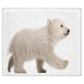 Polar Bear Rugs