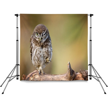  Pole Pocket Backdrop