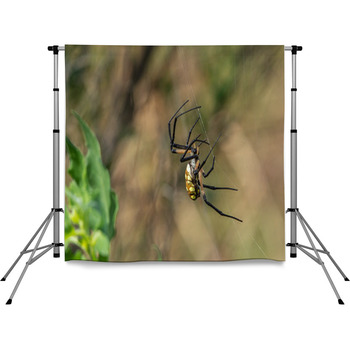  Pole Pocket Backdrop