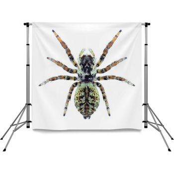  Pole Pocket Backdrop