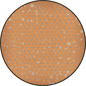 Polka Dot Background. Vintage Vector Rhombus Round Rug