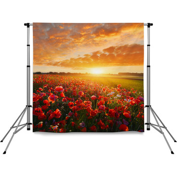 Poppy Backdrops