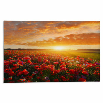 Poppy Rugs