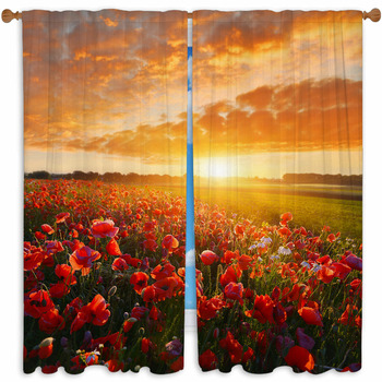 Poppy Window Curtains